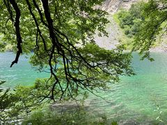 -叠溪松坪沟景区