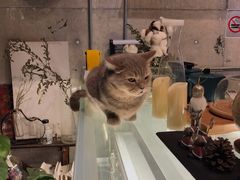 -MIMO CAFE(沙头角店)