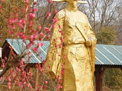 -南京老山国家森林公园