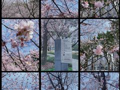 -静安雕塑公园