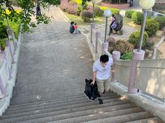 -金砂公园