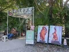 -芭厘·农庄老字号.电饭煲五指毛桃焗鸡