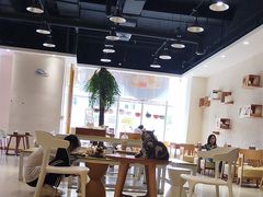 -藏猫猫咖啡主题馆(中央大道店)