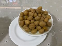 -老周记顺德双皮奶
