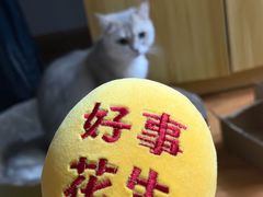 -海底捞火锅(奥山世纪城店)