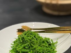 炝拌姑娘菜-锦府盐帮·私宴(赛特店)