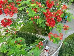 -广州市白云山风景名胜区