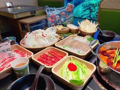 -季季山•云南野生菌火锅(上海首店)
