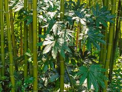 -苏州河梦清园环保主题公园