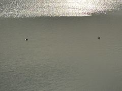 -青龙湖公园