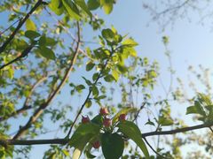 -春晖园度假酒店温泉