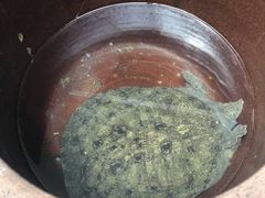 -湾里人家(旺山景区店)
