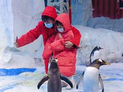 -芜湖新华联大白鲸海洋公园