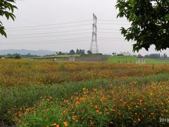 -紫颐香薰山谷景区