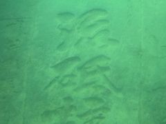 -白鹤梁水下博物馆
