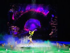 -水秀国际大剧院