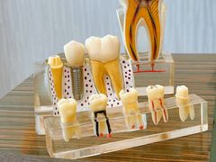 -劲松口腔医院(蓝色港湾院)