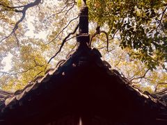 -西园戒幢律寺