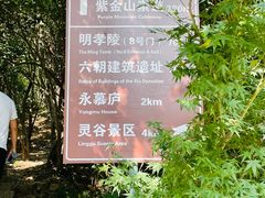 -紫金山山顶公园