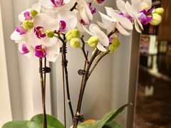 -海底捞火锅(外滩店)