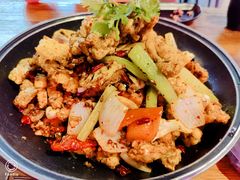 -靓蛙馆