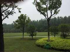 滨湖湿地公园-合肥滨湖国家森林公园