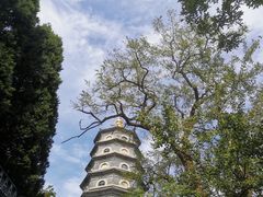 -湛山寺