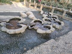 -成都市活水公园