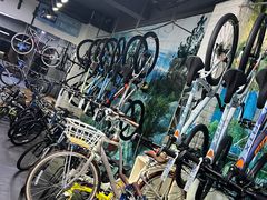 -GIANT捷安特自行车专卖店(金桥台儿庄路店)