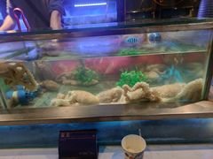 -V-ONE西雅图海鲜自助餐厅(仓山万达广场店)