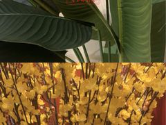 -二分八云雁阁•新晋菜大同味(长治路店)