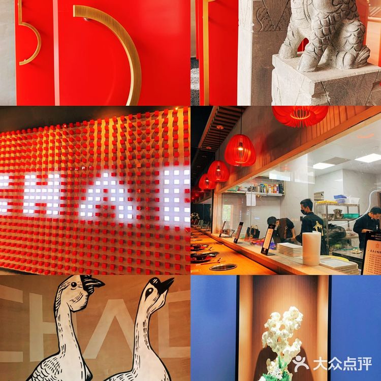 番禺惊现首家卤水狮头鹅火锅店，鹅肝绝绝子