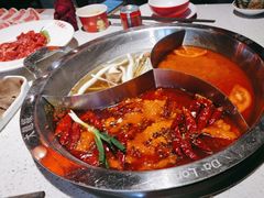 -大龙燚·旷野鲜火锅(广州首店)
