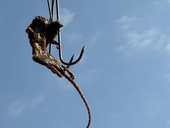 -辉记虾塘海鲜农庄