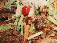 -老板恋上鱼(恒隆广场店)