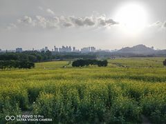 -光明小镇欢乐田园