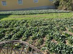 -重元寺香积厨素斋馆