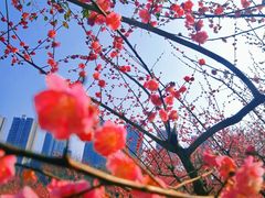-重庆彩云湖湿地公园