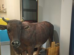 -伊犇牛清真牛肉火锅(宽窄巷子店)