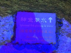 -寻龙山风景旅游区