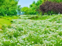 -汉长安城未央宫国家考古遗址公园