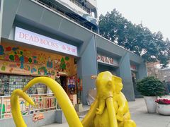 -黄桷坪涂鸦艺术街