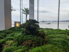 -深圳大梅沙京基洲际度假酒店