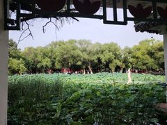 -北陵公园