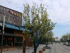 -映月湖中央公园