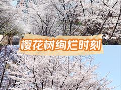 -南京明基医院