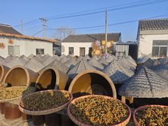 -苏州市吴中区光福窑上花果蜜饯厂