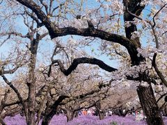 -江苏三台山国家森林公园