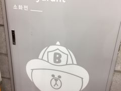 -line friends(明洞旗舰店)