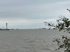 -上海滨江森林公园